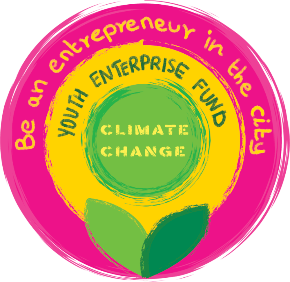 youth enterprise fund